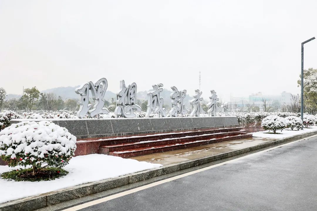 瑞雪兆豐年，邀您共賞雪中山河！