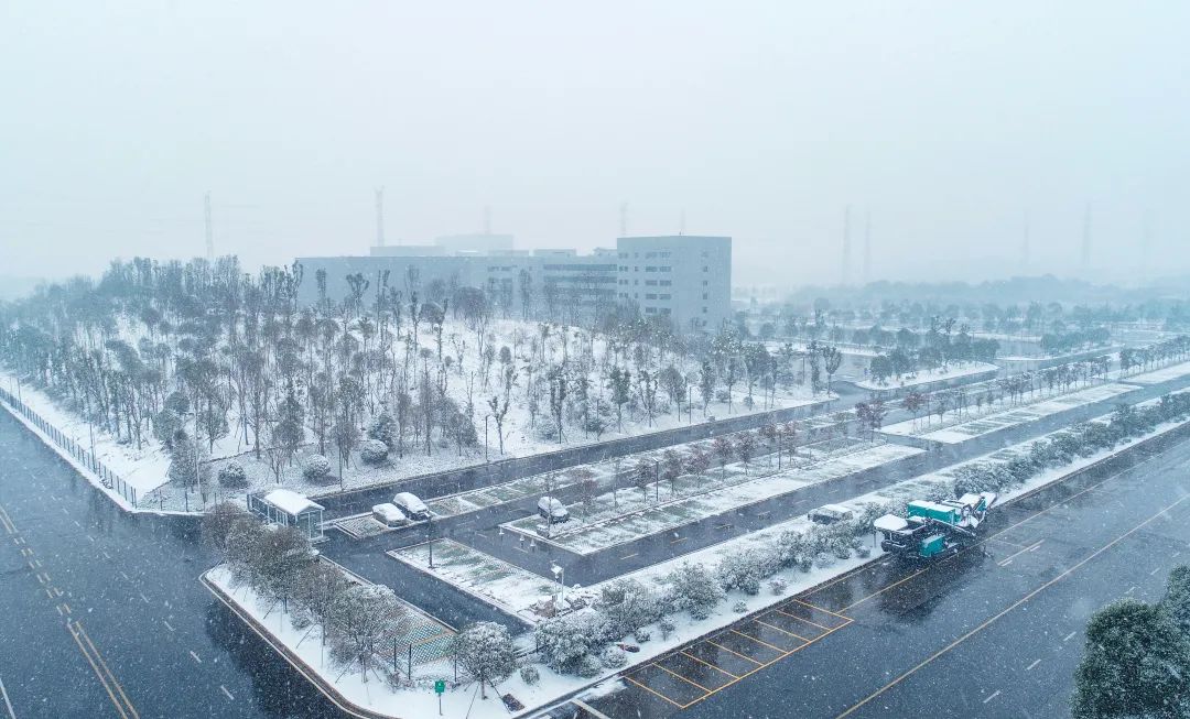 瑞雪兆豐年，邀您共賞雪中山河！